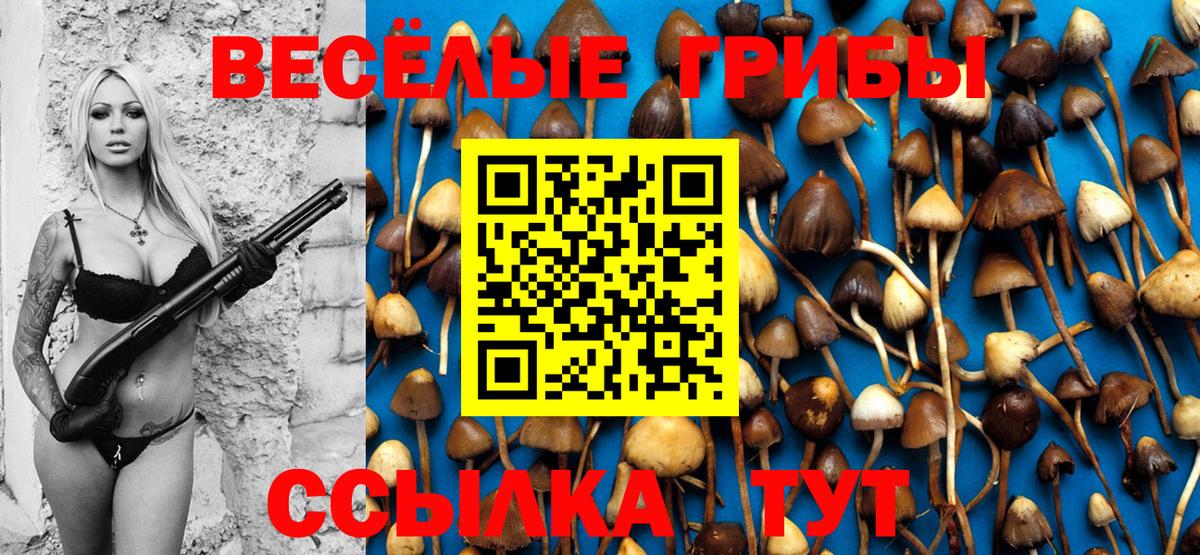 Псилоцибиновые грибы MAGIC MUSHROOMS Новоалександровск