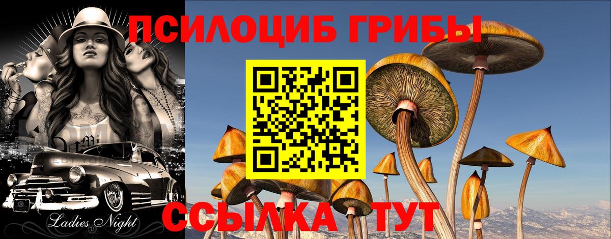 Псилоцибиновые грибы мицелий  где продают   Новоалександровск  Вход с VPN 